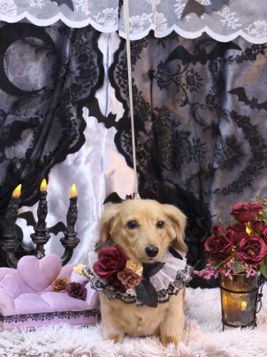 20231007モカちゃん